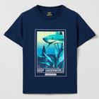 T-shirt chłopięcy OVS Dress Blues 1799629 116 cm Niebieski (8056781060278) - obraz 1