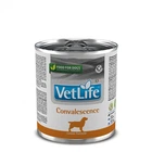 Влажный лечебный корм для собак Farmina Vet Life Convalescence для восстановления питания и выздоровления