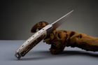 Нож карманный Fontenille Pataud, Le Thiers Pocket, ручка из рога оленя (T8BC) - изображение 3