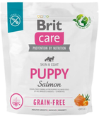 Karma sucha dla psów Brit care dog grain-free puppy salmon 1 kg (8595602558827) - obraz 1