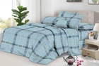 Двухспальный комплект постельного белья Vital - Textile Бязь 3D Premium 180х220 см (BP2-273-00)