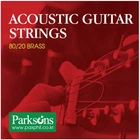 Струни для акустичної гітари PARKSONS S1048 ACOUSTIC XL (10-48)