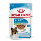 Упаковка полнорационный влажный корм для собак Royal Canin Puppy X-Small