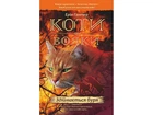 Світовий бестселер Книга Коти-вояки Здіймається буря 4 (українською мовою)