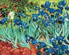Картина по номерам Ирисы - Ван Гог (BS51339) Brushme 40x50 см