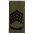 Шеврон нашивка на липучке погон звания ВСУ Головний сержант 5х10 см (800029722) TM IDEIA - изображение 1