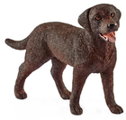 Zabawka Schleich figurka samicy psa rasy Labrador Retriever (4055744012556) - obraz 1