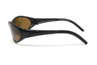 Очки поляризационные BluWater Venice Polarized (brown) коричневые в черной матовой оправе - изображение 6