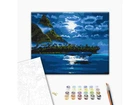 Картина по номерам Лунная ночь, Brushme (40х50 см), BS33220