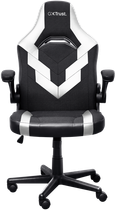 Кресло для геймеров Trust GXT703W RIYE Black/White (TR25130)