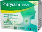 Натуральна добавка Reva Parycalm Herbal Herbal Sore 24 таблетки (8436540335548) - зображення 1