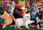 Пазли "Кошенята у грі", 260 Елементів