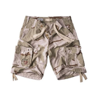 Шорти Surplus Raw Vintage AIRBORNE VINTAGE SHORTS (3 Color Desert) 3XL - зображення 1