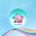 Ежедневные гигиенические прокладки Deo Water Lily, 60 шт - Discreet 60шт (60шт) (940856-1196962-2)