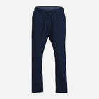 Спортивні штани чоловічі DKaren Pants Justin L Navy Blue (5903251464476) - зображення 3