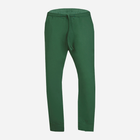 Спортивні штани чоловічі DKaren Pants Justin L Green (5903251464636) - зображення 3