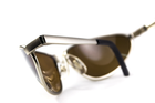 Защитные очки с поляризацией Black Rhino i-Beamz Polarized (brown), коричневые - изображение 7