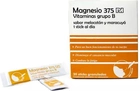 Kompleks witamin i minerałów Ph Magnesium 375 Vitamin Group B 20 Sticks (8470001910004) - obraz 1