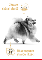 Sucha karma dla psów Royal Canin BHN Pomeranian Adult 3 kg (3182550908450) - obraz 5
