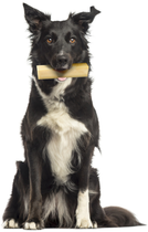 Przysmaki dla psów Zolux Himalayan ser XL 116 g (3336024823132) - obraz 4