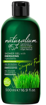 Energetyczny żel pod prysznic Naturalium Super Food Wheatgrass With Energizing Shower Gel 500 ml (8436551471822) - obraz 1