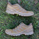 Чоловічі тактичні кросівки LOWA Innox Pro Gtx Lo Tf 310832/0731 40 (6.5) Coyote OP (2000980484577) - зображення 9