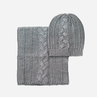 Комплект жіночий шапка + снуд Art Of Polo cz16409 One Size Сріблястий (5902021104130) - зображення 1