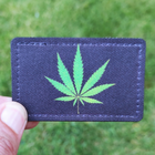 Шеврон Cannabis, 8х5, на липучке (велкро), патч печатный - изображение 3