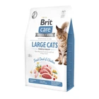 Сухий корм для кішок Brit Care Cat Grain Free Large Power Vitality
