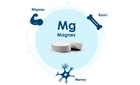 Біологічно активна добавка Pharma Nord Bio-Magnez 90 таблеток (5709976232303) - зображення 3