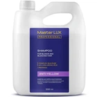 Шампунь для нейтрализации желтизны Master LUX professional 3000 мл