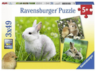 Zestaw puzzli Ravensburger Cute Bunnies 21 x 21 cm 3 x 49 elementów (4005556080410) - obraz 1