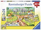 Набір пазлів Ravensburger День у зоопарку 26 x 18 см 2 x 24 елементи (4005556078134)