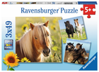 Набір пазлів Ravensburger Поні 18 х 18 см 3 х 49 елементів (4005556080113)