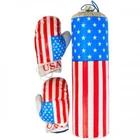 Боксерские перчатки и груша детские Danko Toys M-USA B Америка (M-USA-RT)