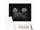 Картина по номерам Взгляд ночи, Brushme (40х50 см), BS52234