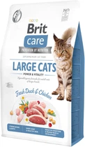 Сухий корм для кішок Brit Care Cat Grain Free Large Power Vitality