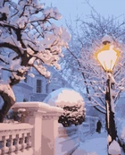Картина по номерам Artissimo Снежная зима PN4193 40х50 см