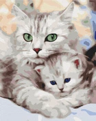 Картина по номерам Мама кошка с котенком 40x50 см Brushme (2000002766605)