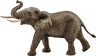 Figurka do zabawy Schleich Słoń afrykański 10 cm (4005086147621) - obraz 1
