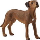 Figurka Schleich Farm World Rhodesian Ridgeback (4059433007229) - obraz 1