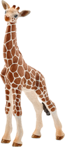 Figurka Schleich Wild Life Młoda żyrafa (4005086147515) - obraz 1