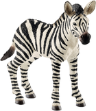 Іграшка-фігурка Schleich Wild Life Дитинча зебри (4055744020797) - зображення 1