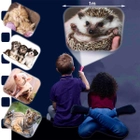 Latarka projektorowa Brainstorm Toys Magic and Fluffy Animals (3 dyski, 24 zdjęcia) (5060122732710) - obraz 3