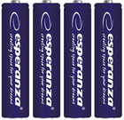 Baterie alkaliczne Esperanza AA 4 szt. (5901299945254) - obraz 1