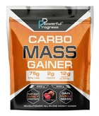 Гейнер Powerful Progress Carbo Mass Gainer