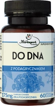 Suplement diety Herbapol Do Dna z podagrycznikiem 60 kapsułek (5903850019039) - obraz 1