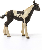 Фігурка Schleich Farm World Pinto Foal 8 см (4059433322650) - зображення 4