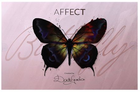 Paleta do makijażu Affect Butterfly Makeup Palette 30.2 g (5902414438729) - obraz 2