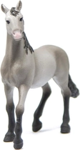 Фігурка Schleich Horse Club Pure Spanish Young Horse Breed 10.7 см (4059433305455) - зображення 5
